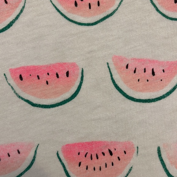 J Crew Collectors Tee Watermelon Print XS EUC - Picture 3 of 4